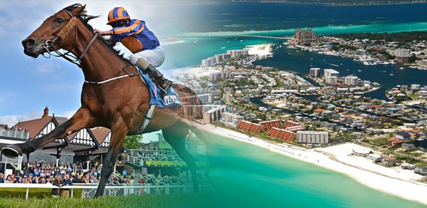 Horse Race Track and Florida