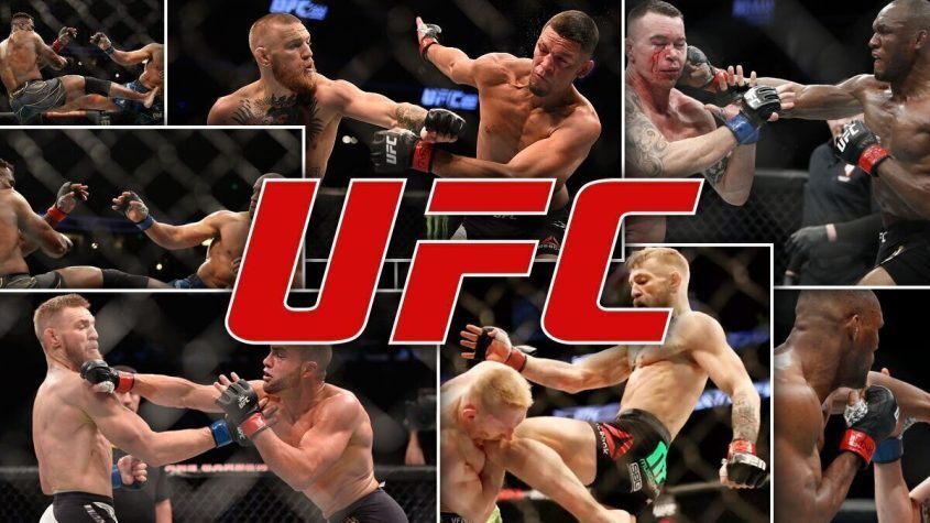 UFC, Fighters, Gloves, Champion