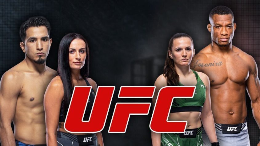 UFC, Fighters, Contenders, Women, Men